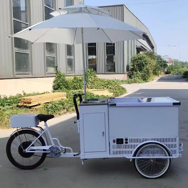 Commercial Chest Freezer - 156L tricycle with chest freezer ice